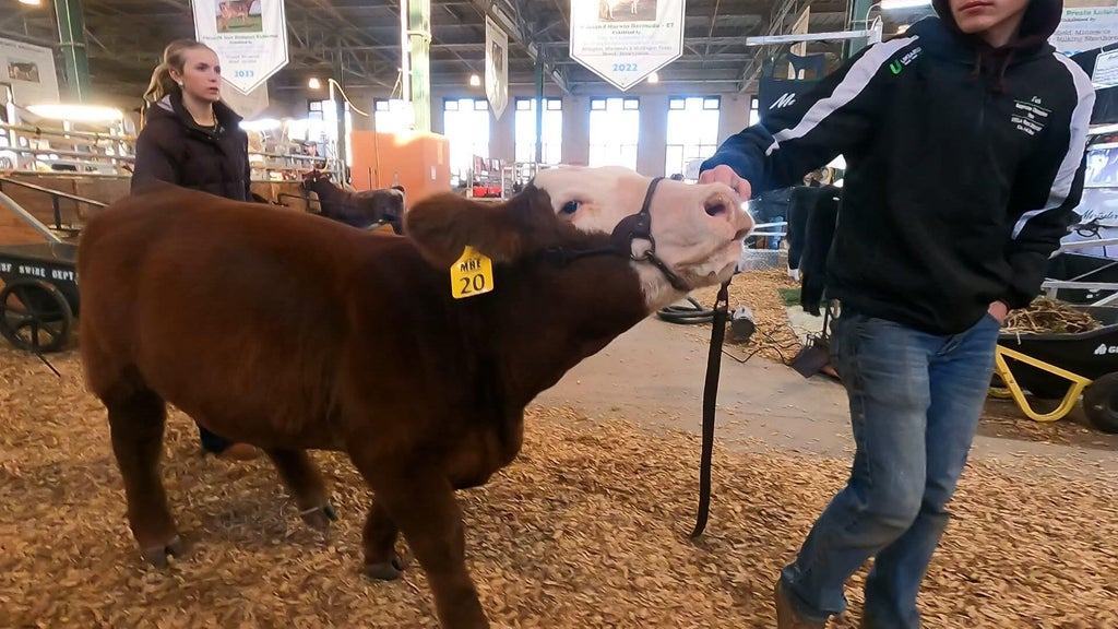 Spotlight on beef as Minnesota midterms near — WCCO / CBS Minnesota, Hastings Community news