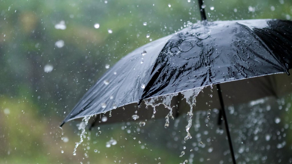 Widespread rain in Minnesota Monday; milder air returns Tuesday — WCCO / CBS Minnesota, Hastings Community news