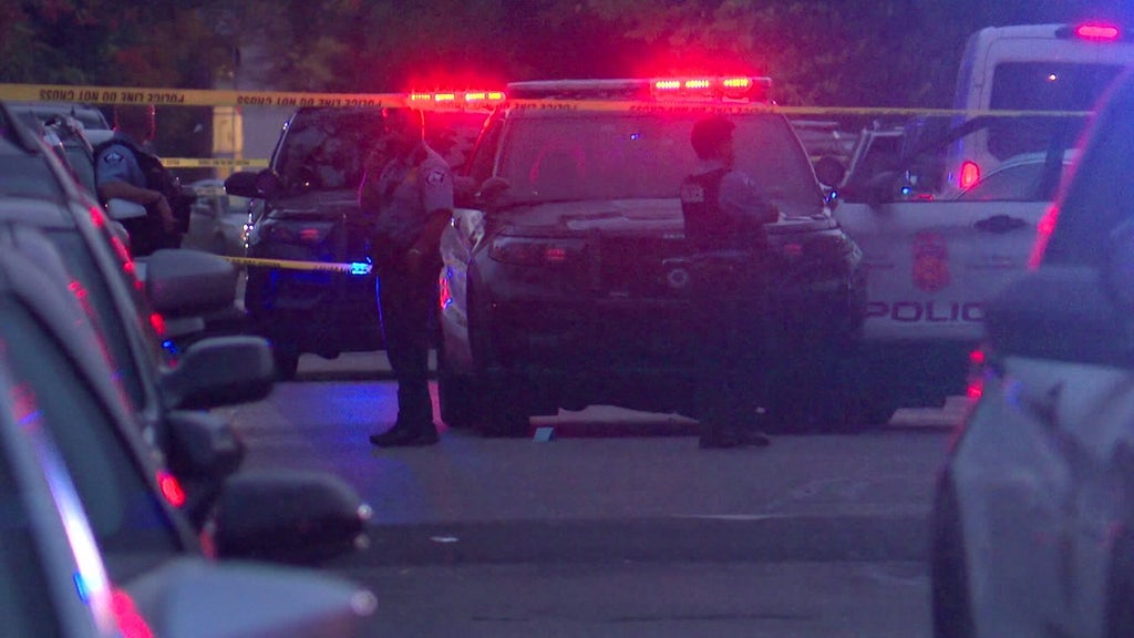 Officer fires gun after armed carjacking, squad car hit by stolen car — WCCO / CBS Minnesota, Hastings Health news