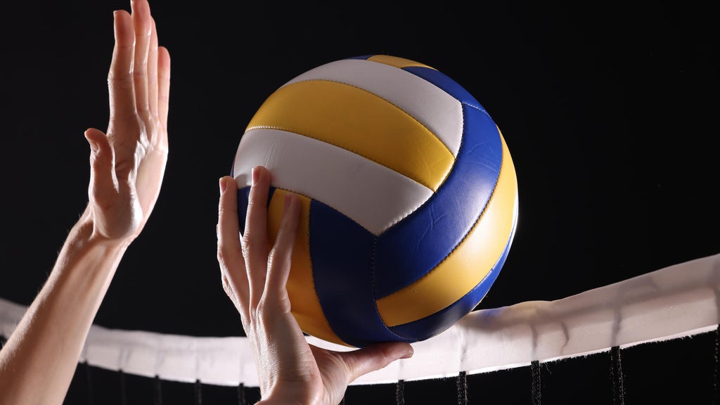 SeatGeek's first volleyball partner is the Minnesota Forge in a multiyear deal — WCCO / CBS Minnesota, Hastings Business news