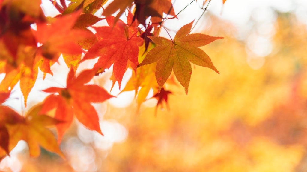 More sunny, mild late October weather in Minnesota Tuesday — WCCO / CBS Minnesota, Hastings Business news