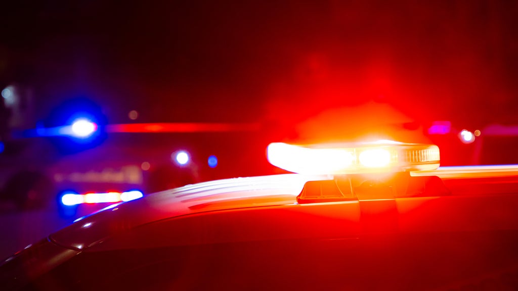 Driver killed in head-on collision with semi in central Minnesota — Hastings Community news