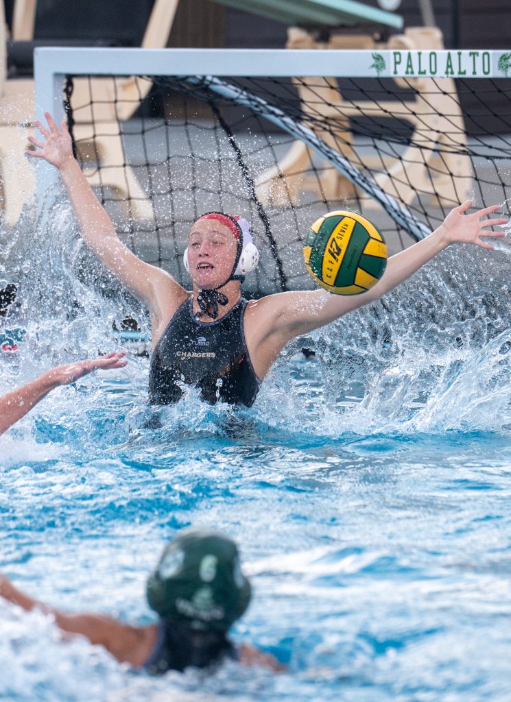 Wilcox Water Polo Caught in Vikings Rip Current — Silicon Valley Voice, Hastings Sports news
