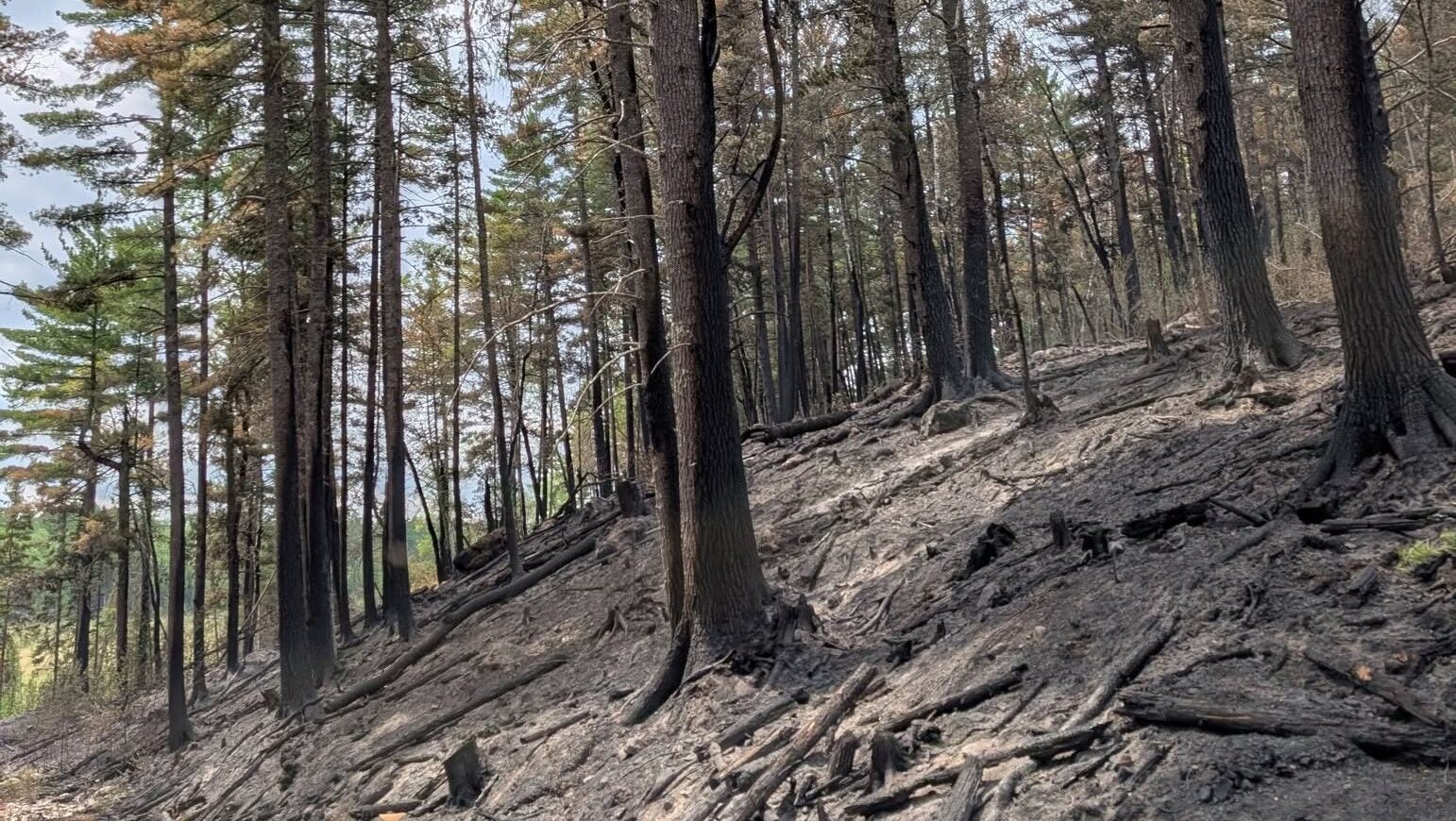 74-year-old who became separated from his family on a trail in Ely was discovered dead — KSTP 5, Hastings Community news