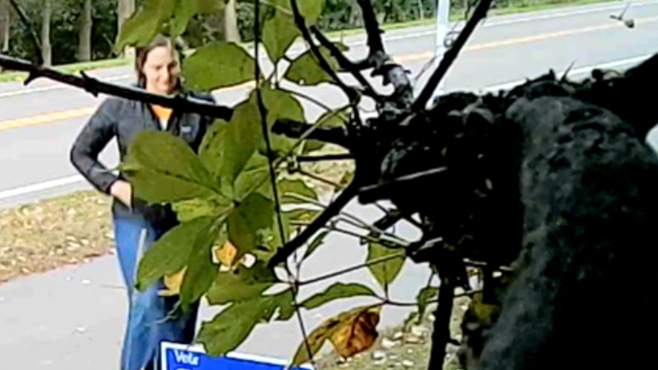 Video: Vadnais Heights council member removes mayoral candidate’s campaign sign, tosses it aside — KSTP 5, Hastings Real Estate news