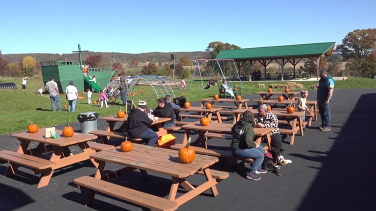 Outdoor festival in Columbia County brings together artists and businesses to connect with the community — WNEP 16 (Scranton/Wilkes-Barre), Hastings Arts news