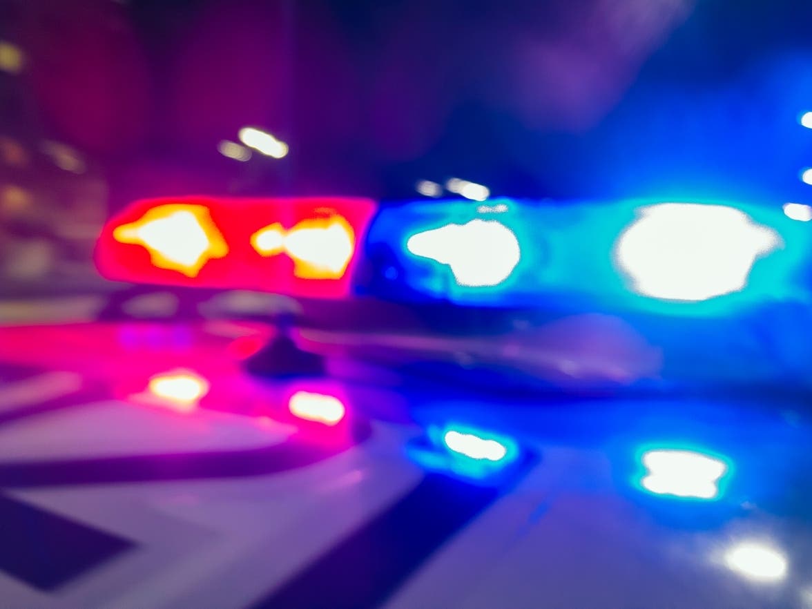 Bradenton Man Dies After SUV Crashes Into Tree In Sarasota County — Sarasota Patch, Hastings Health news