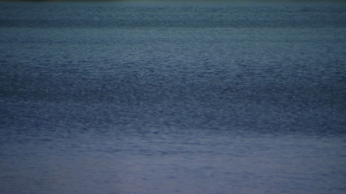 Body of missing Spicer woman recovered from Kandiyohi County lake — FOX 9, Hastings Community news