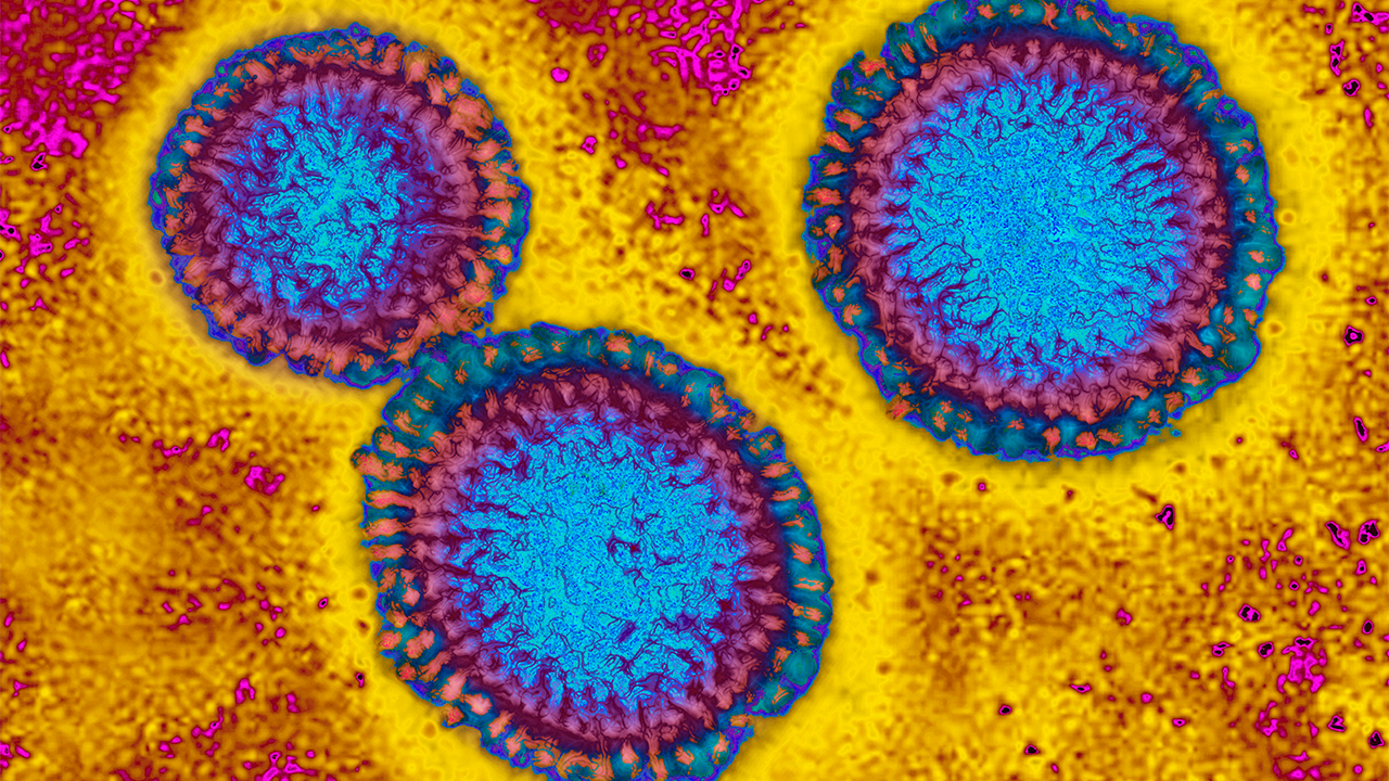 Flu hospitalizations 'slightly higher' than usual, officials urge vaccinations — FOX 9, Hastings Health news