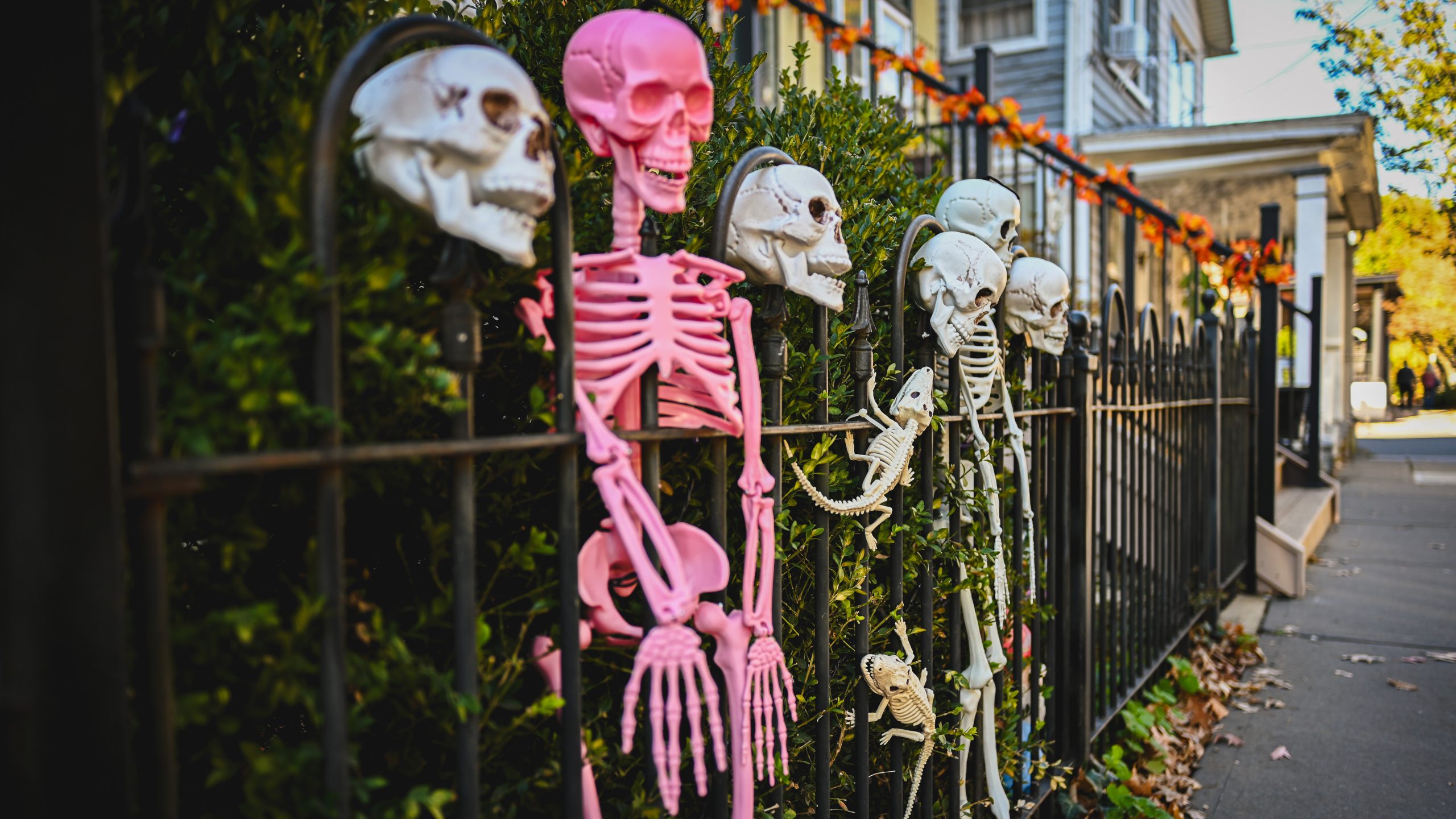 America's best cities for Halloween, ranked — FOX 9, Hastings Community news