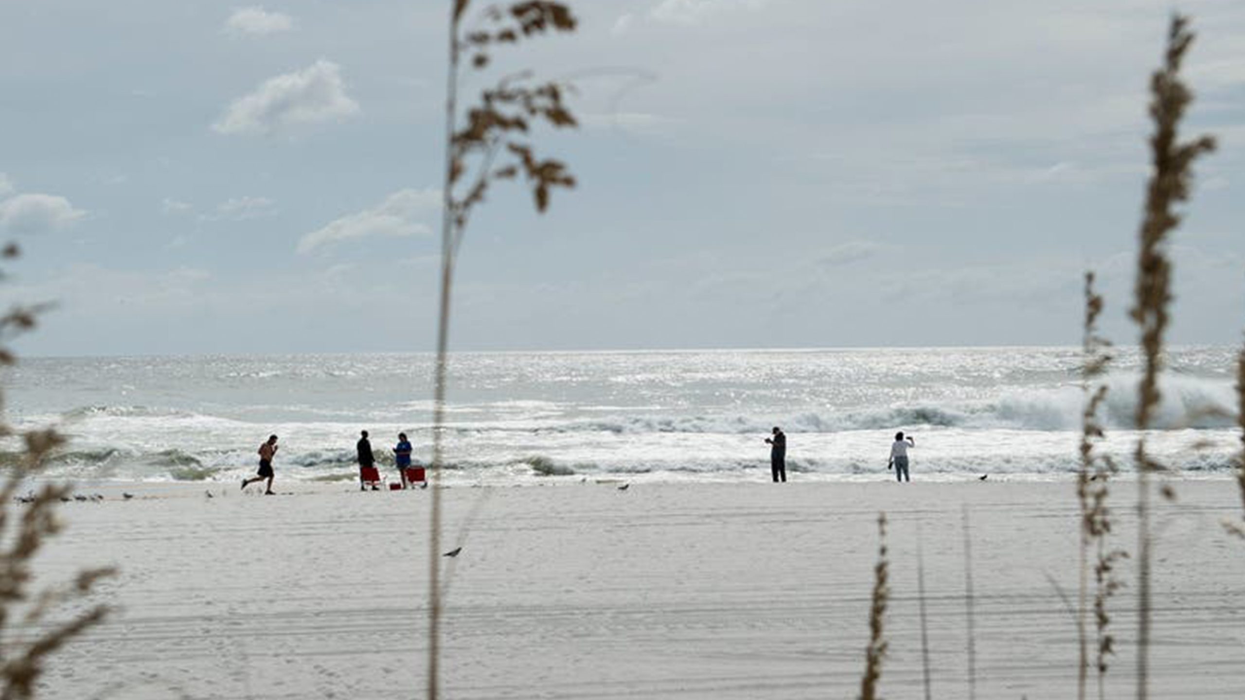 Father of 2 drowns after being caught in current trying to rescue seagull caught in fishing line — Hastings Community news
