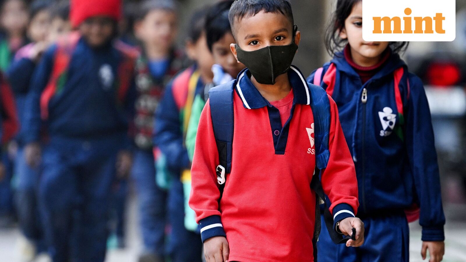 Chennai school holiday, Oct 21: Schools shut in four Tamil Nadu districts as heavy rains predicted | Check IMD alert — Mint India, Hastings Schools news